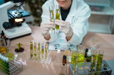Asian woman scientist plant science laboratory research, biological chemistry test, green nature organic leaf experiment in test tube.