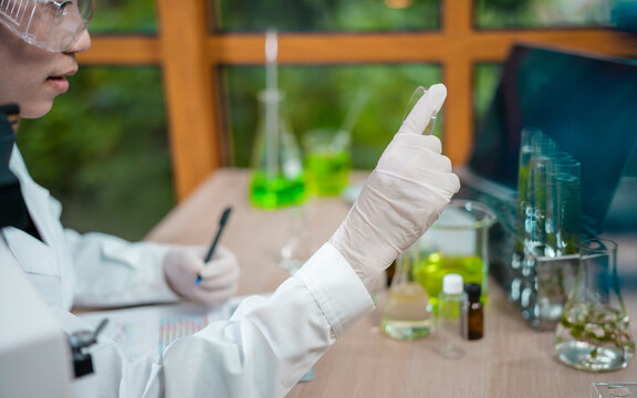 Scientist female researching with plant biotechnology concept with in laboratory.
