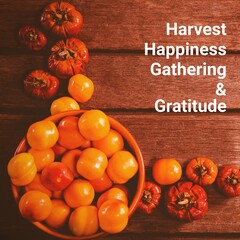 Harvest, happiness, gathering and gratitude text over vegetables for thanksgiving dinner