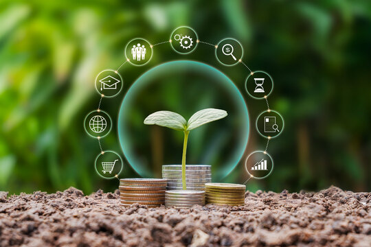 Tree growing on pile of coins and business, finance, investment icons with concept of financial system development and economic growth.