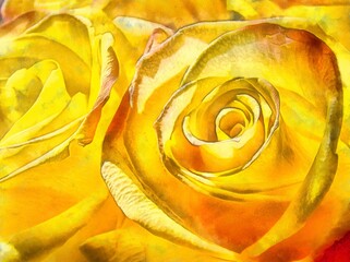 Yellow roses digital painting effect