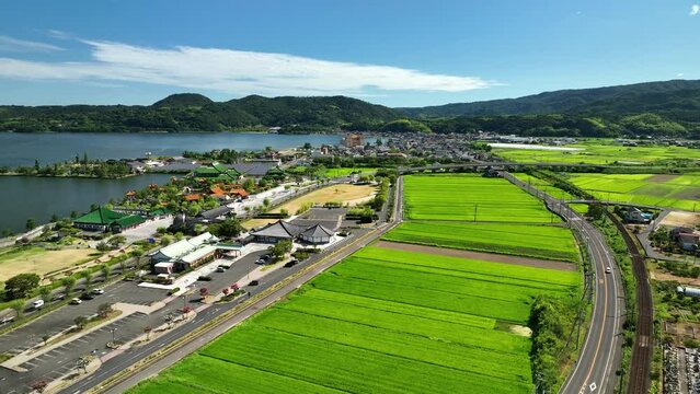 Lush green rice fields by country road and traditional buildings by lake