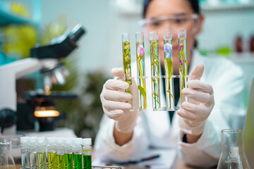 Asian woman scientist plant science laboratory research, biological chemistry test, green nature organic leaf experiment in test tube. - obrazy, fototapety, plakaty