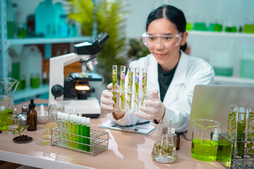 Asian woman scientist plant science laboratory research, biological chemistry test, green nature organic leaf experiment in test tube.