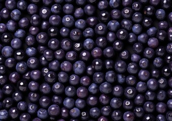 Professional photography of Pattern of Bilberries fruits. Genera