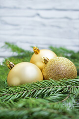 Golden balls in nest of fir branches against white wall. New Year, Christmas, holiday, business. Copy space