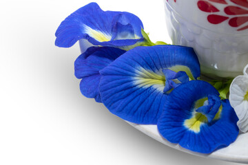 butterfly tea, blue tea, asian, clitoria ternatea, herbs isolated on white background
