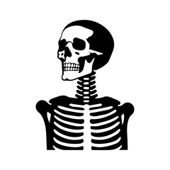 human skull with skeleton illustration isolated on white background