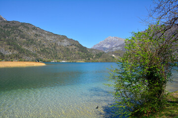Obraz premium Spring at Lago Cavazzo lake in Carnia, Udine province, Friuli-Venezia Giulia, north east Italy