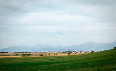 view of the steppe with blue sky in autumn, landscape of the steppe in autumn