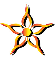 abstract orange flower vector image