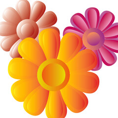 flower on white background 