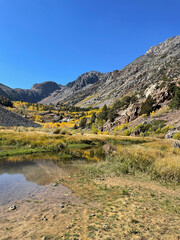Fototapeta na wymiar Mountains and fall colors reflected in a pond at Lundy Canyon, Eastern Sierra California