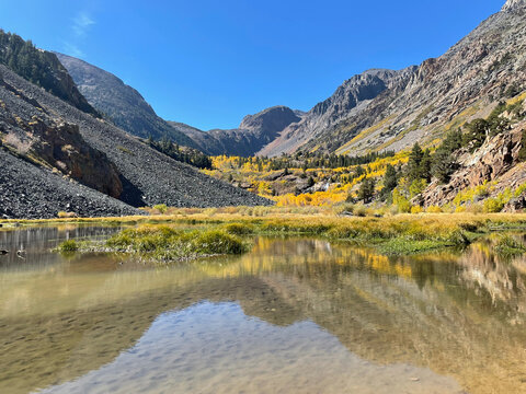 Mountains and fall colors reflected in a pond at Lundy Canyon, Eastern Sierra California