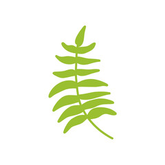 green leaf illustration
