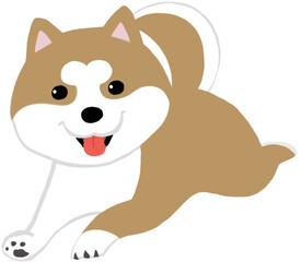 走っている仔犬の柴犬