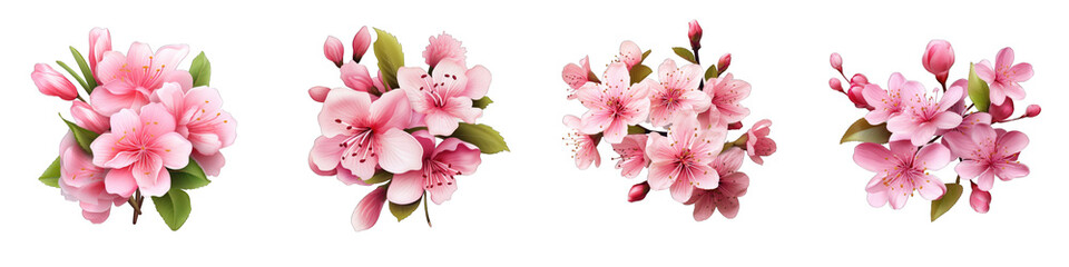 Blossoming Flowers clipart collection, vector, icons isolated on transparent background