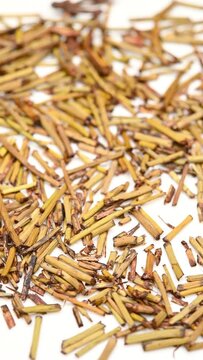 angle view herb MiMaHuang or honey-fried Ephedra or Ephedra sinica stir-fried with honey rotating at vertical composition