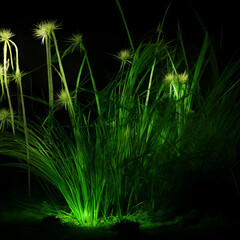 fireworks in the grass, Cyperus papyrus, better known by the common names papyrus, papyrus sedge, paper reed, Indian matting plant, or Nile grass at night, made by AI - obrazy, fototapety, plakaty