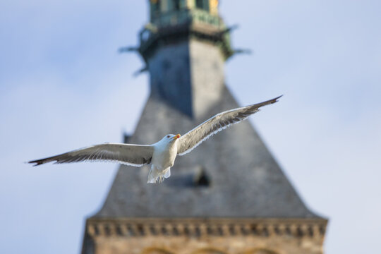 mont saint michel 