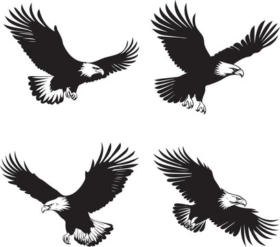 Eagle silhouettes set. Falcon flying in different angles
