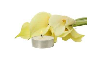 PNG, mourning candles with flowers, isolated on white background