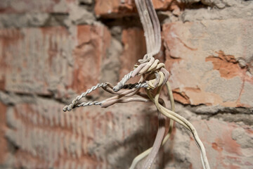 Picture of old electrical aluminum wires connected by twisting, hanging from wall.