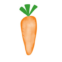 Carrot on white background. Isolated