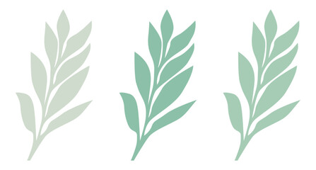 Abstract branch for logos, wallpaper decoration and graphic works in three colors