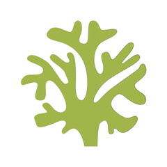 Seaweed plants round beautiful logo