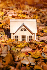 The symbol of the house stands among the fallen autumn leaves
