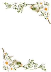 Delicate pastel branches with green pomegranate and open white flower frame