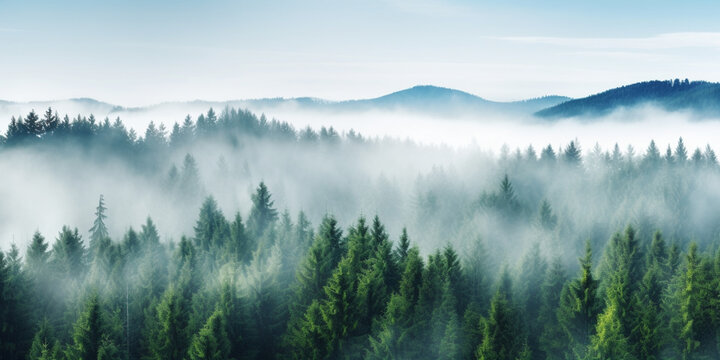 Generated by AI. Forest. Morning in Haze
