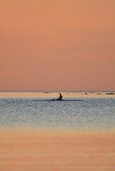 Fototapeta premium surfer on the beach