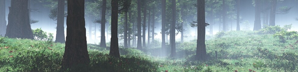 fairy forest in the morning in the fog, Forest in the morning in a fog in the sun, trees in a haze of light, glowing fog among the trees