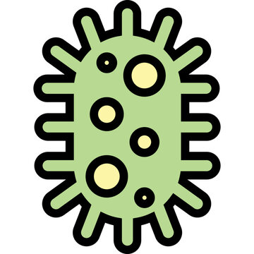Bacteria