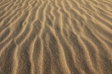 sand ripples on the beach