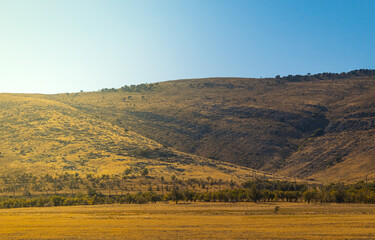 Obraz premium top view of south Kazakhstan nature, mountain and nature view