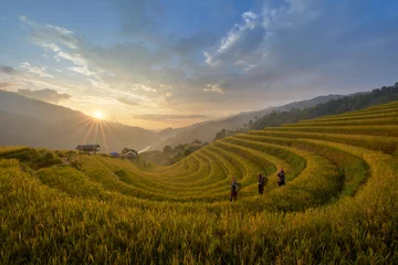 Deurstickers Mu Cang Chai Ripe rice season, Mu Cang Chai terraced fields, Yen Bai Province, Vietnam.