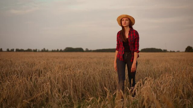 Farmer woman in hat walks along wheat agricultural field at sunset, slow motion. Female agronomist harvest inspection. Agronomist worker researcher at countryside crops