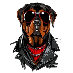 Fototapeta premium bulldog Dog in Rock leather jacket and sunglasses illustration . Rocker style animal colour sketch. simple design for t-shirt print