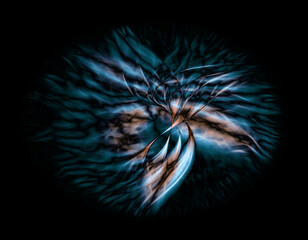 ethereal wispy blue and gold symmetric design on a black background
