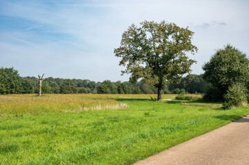 Obraz premium Walking path through the green park of the coal mine site of Beringen, Belgium