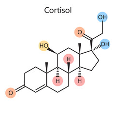Chemical organic formula of cortisol steroid hormone diagram schematic vector illustration. Medical science educational illustration
