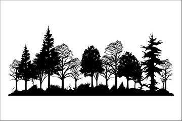 silhouette of shady trees and grass