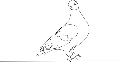 dove sketch line drawing on white background vector