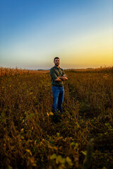 Naklejka na ściany i meble Portrait of young farmer standing in a soy field at sunset looking at camera.