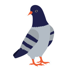 dove in flat style on white background vector