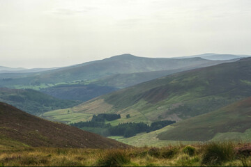 Naklejka premium landscape with fog