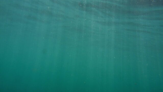 Dive deep into a sunlit ocean scene, captured in mesmerizing slow motion.